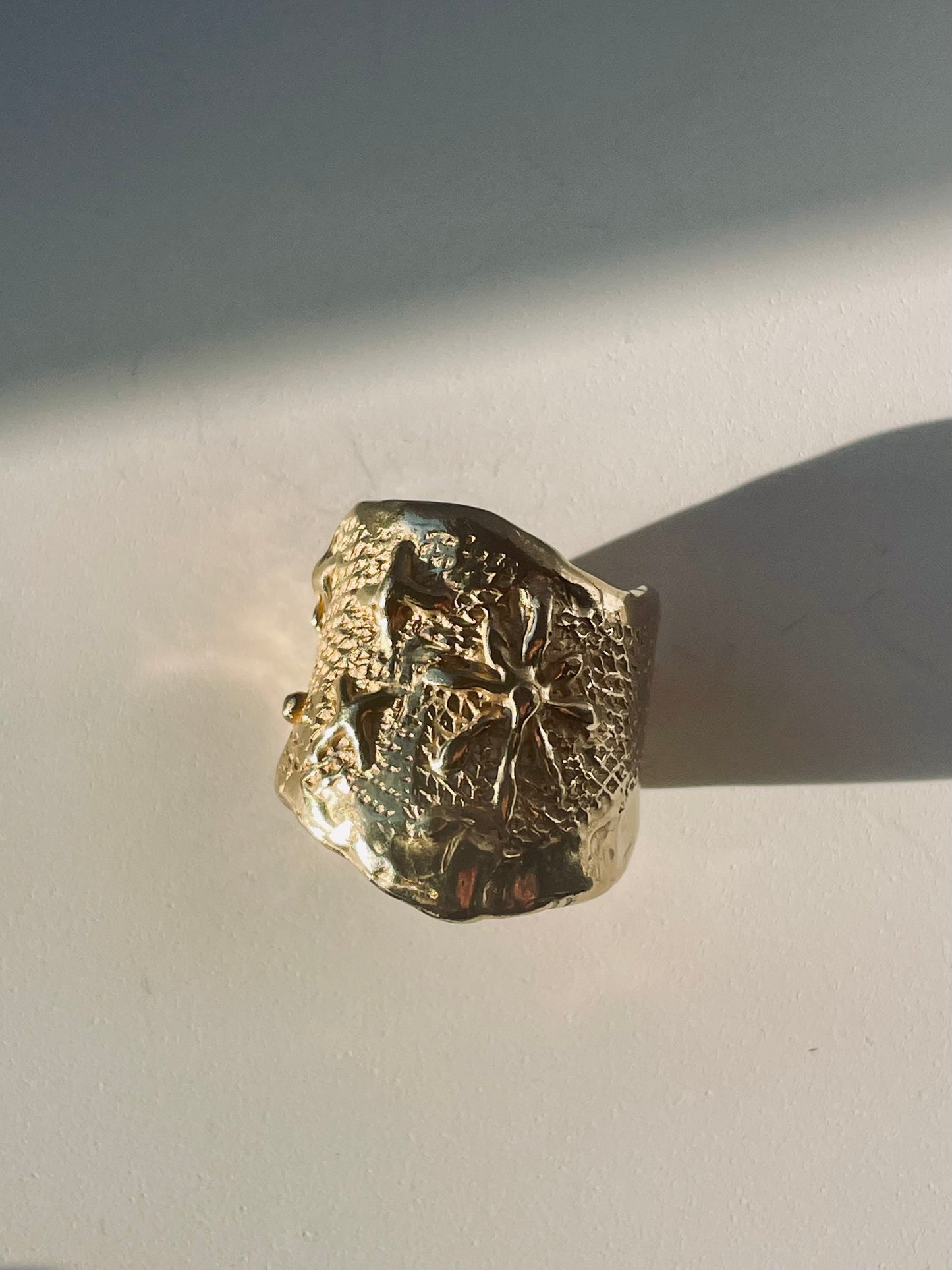 Interstellar Ring